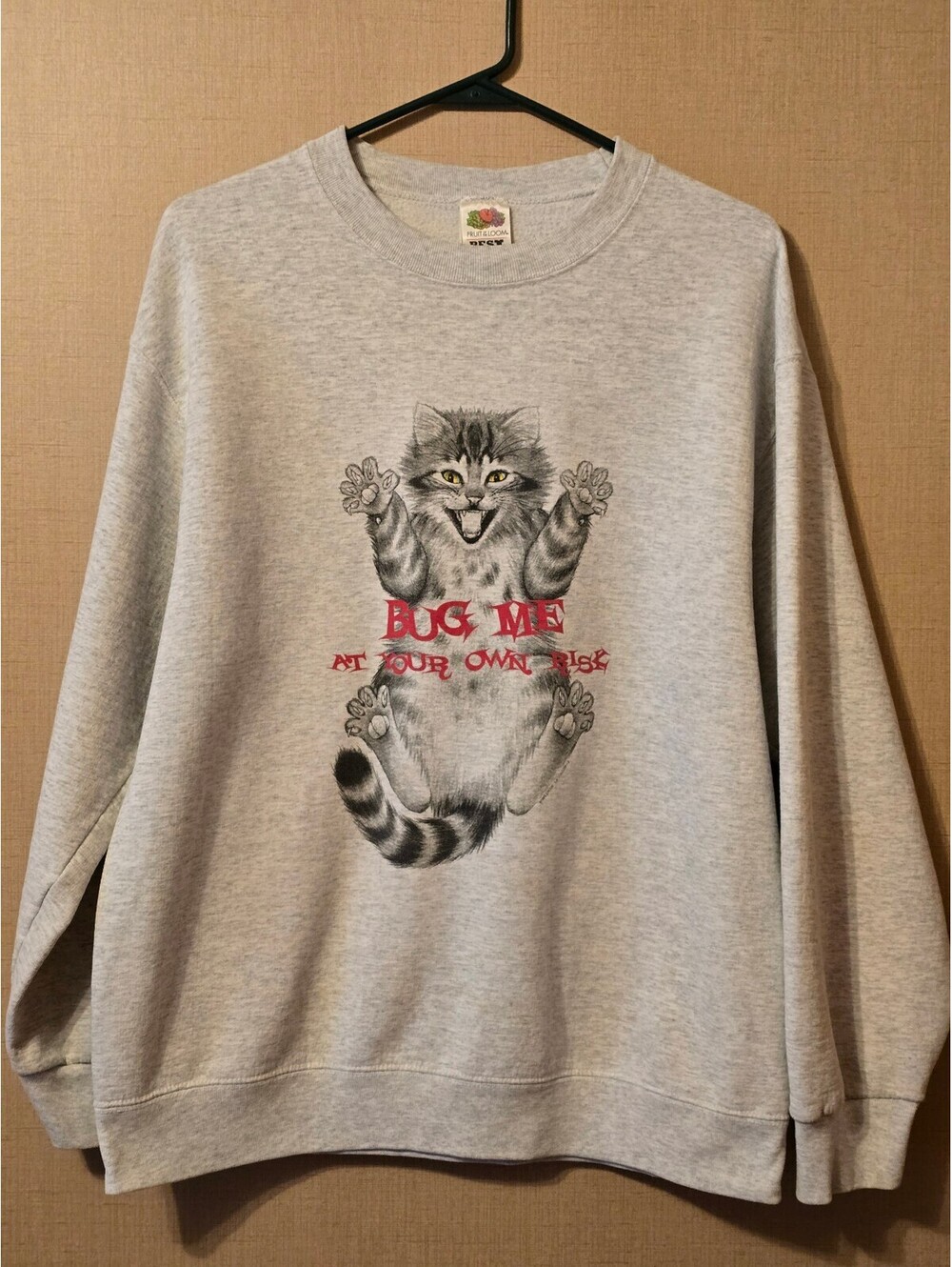 Fruit of the Loom Best Large Gray Sweatshirt with Playful Cat Graphic and 'BugMe